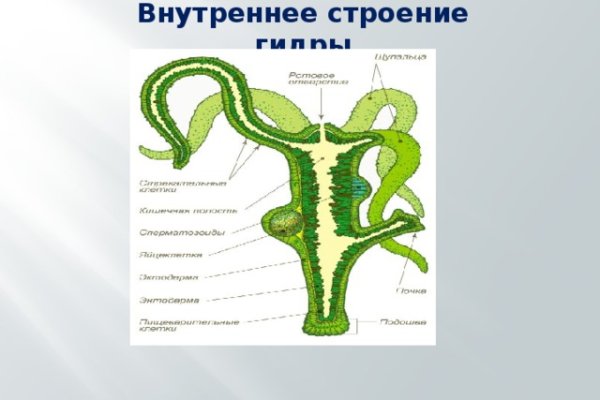 Kraken tor ссылка kraken014 com