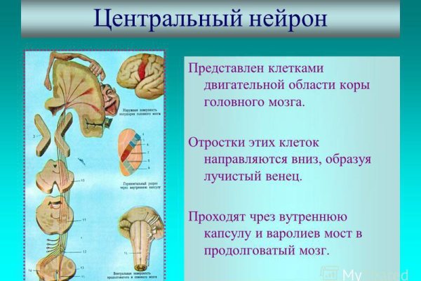 Аккаунты кракен