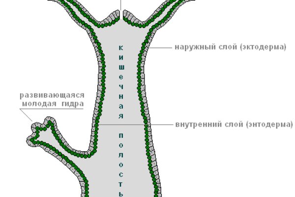 Кракен магазин vk2 top