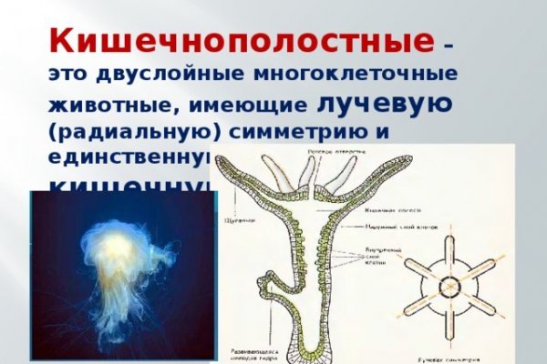 Кракен войти сегодня